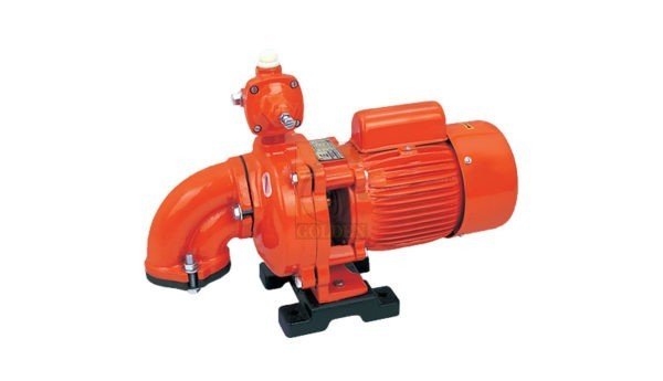 Goldamatic Deep Well Pump G1