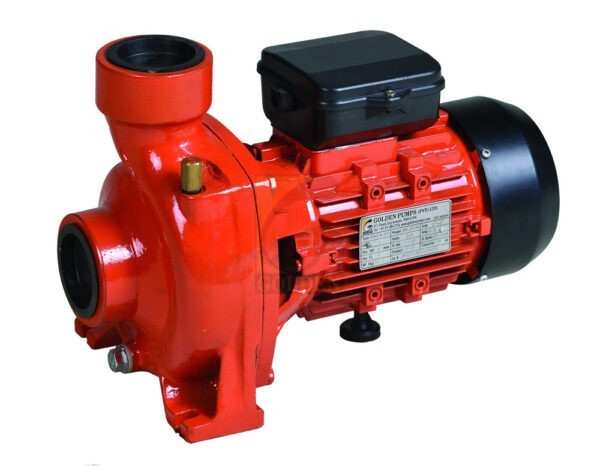 Golden 1Hp Mono Block Pump