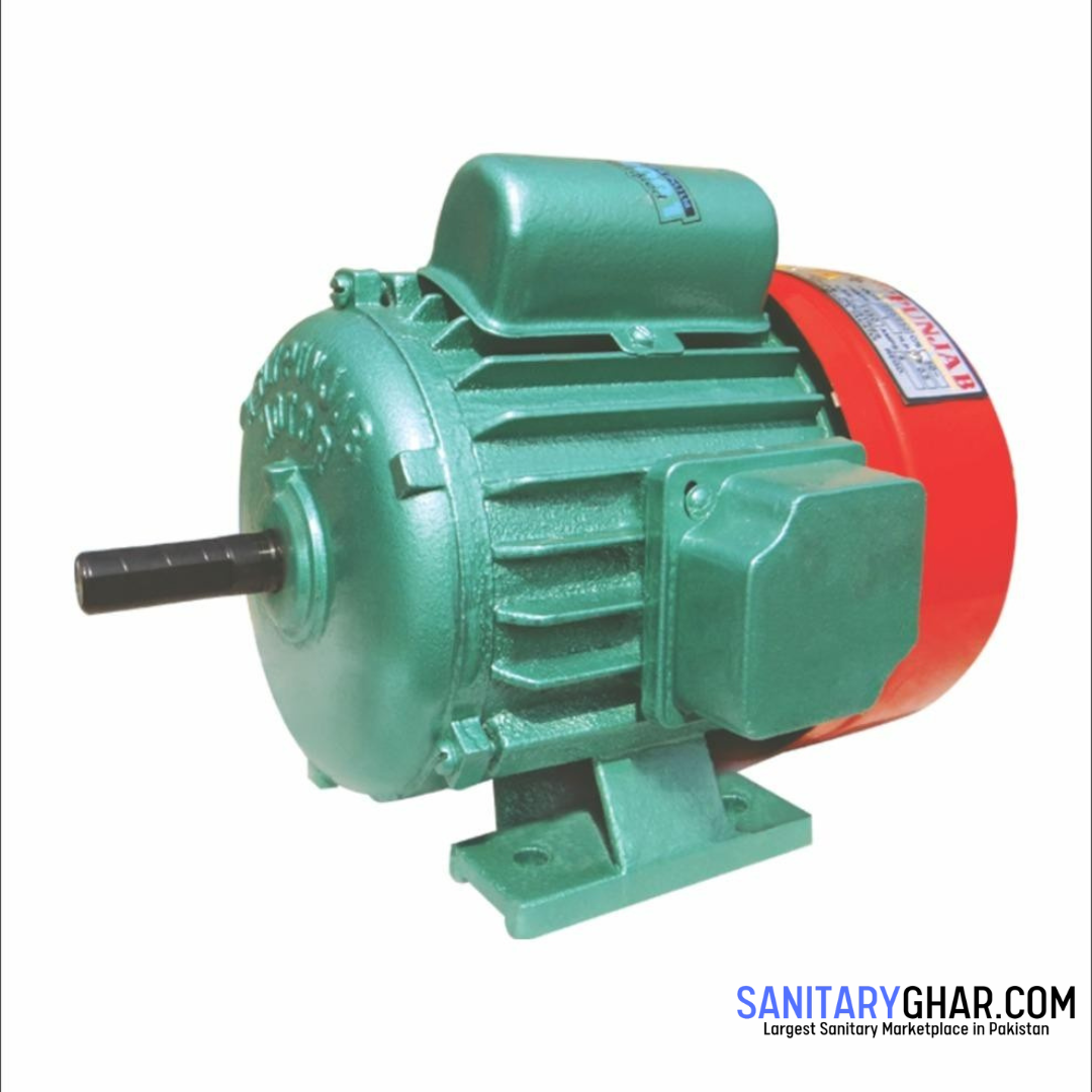 Asli Punjab 0.5hp Electric Motor