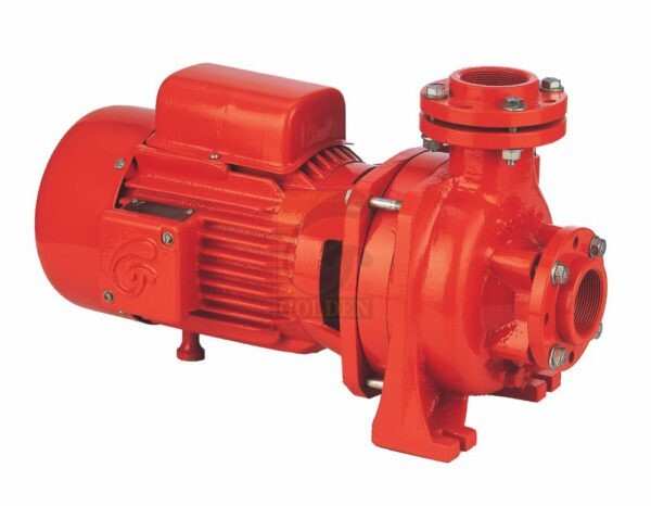 Golden 2Hp Mono Block Pump