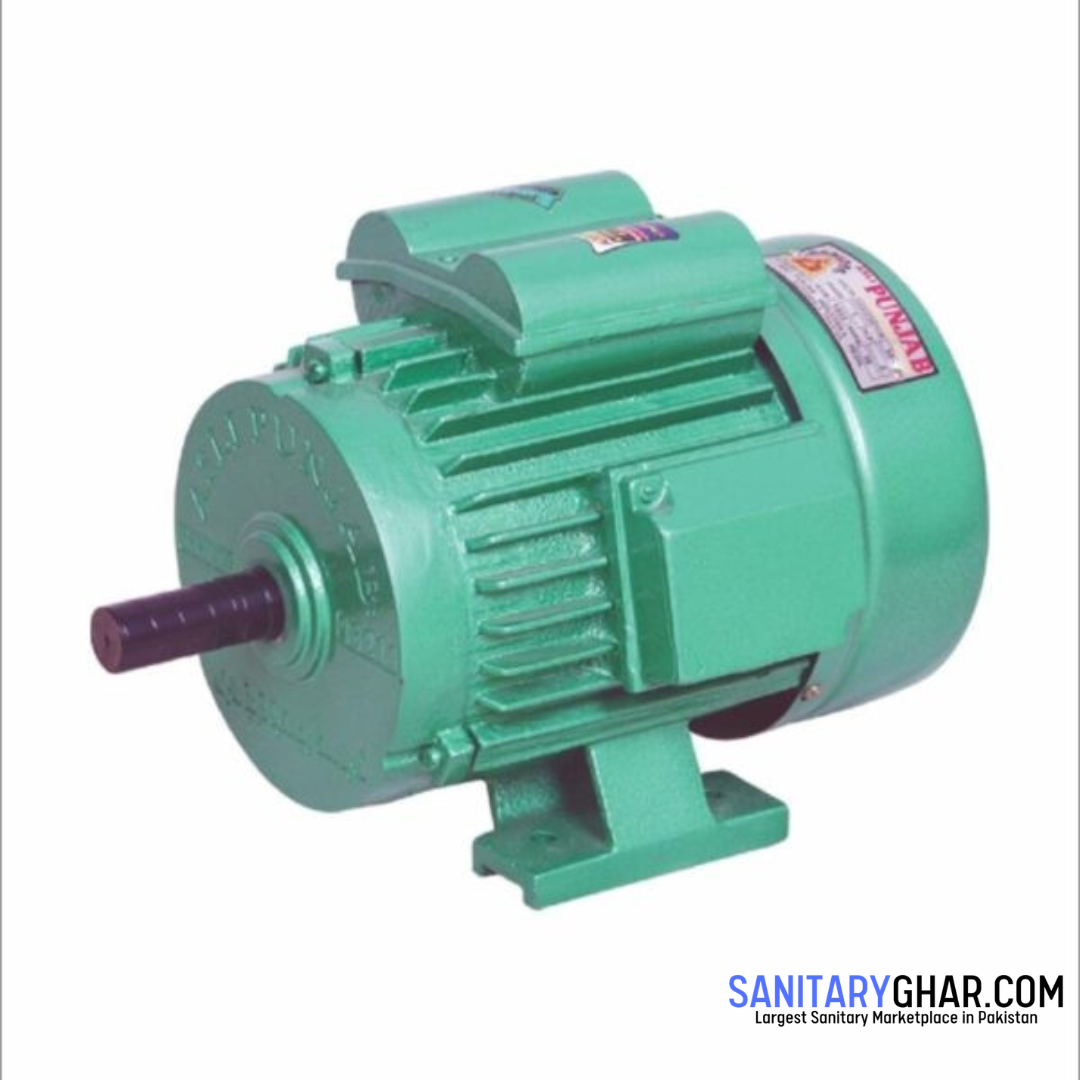 Asli Punjab 2hp Electric Motor